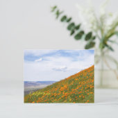 California Golden Poppies Postkarte (Stehend Vorderseite)