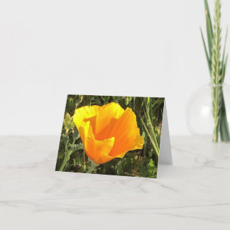 California Golden Poppy - 1 Dankeskarte
