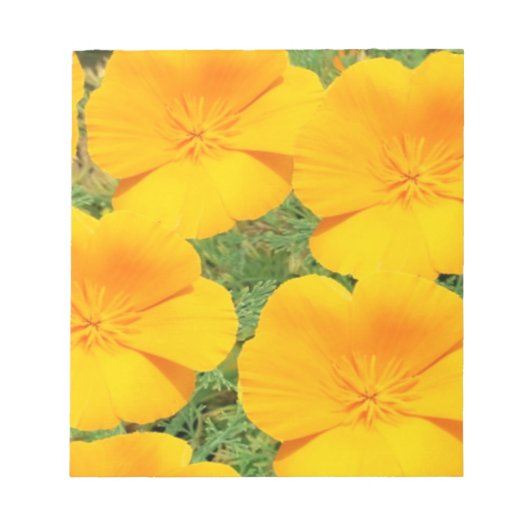 California Golden Poppy Notizblock (Vorderseite)