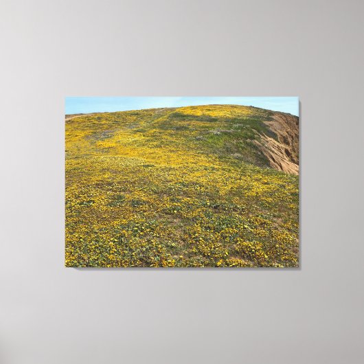 California Goldfields Leinwanddruck (Vorderseite)