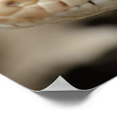 California Gopher Snake Poster (Ecke)