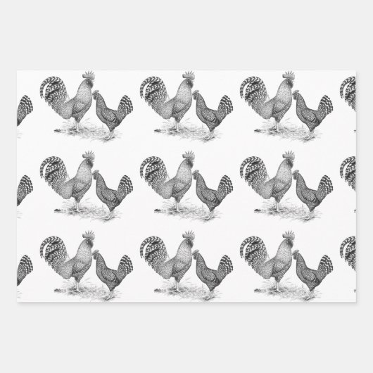California Gray Rooster and Hen Geschenkpapier Set (Vorderseite 3)