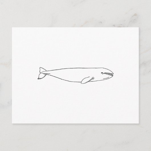 California Gray Whale Postkarte (Vorderseite)