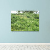 California Green Leinwanddruck (Insitu (Holzboden))