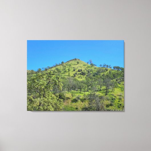 California Green Leinwanddruck (Vorderseite)