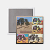 California Hillside Abstrakt Foto Collage 9979 Magnet (Vorderseite/Rückseite)
