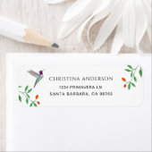 California Hummingbird  Address (Insitu)