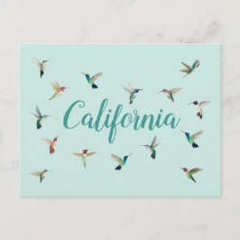 California Hummingbirds Postkarte