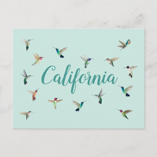 California Hummingbirds Postkarte (Vorderseite)