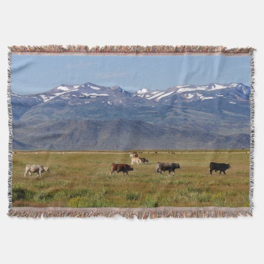 California HWY 395 Landschaft Decke (Vorderseite)