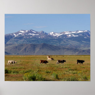 California HWY 395 Landschaft Poster