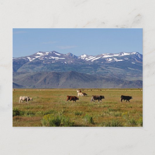 California HWY 395 Landschaft Postkarte (Vorderseite)