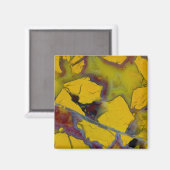 California Jasper Magnet (Vorderseite/Rückseite)
