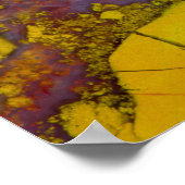 California Jasper Poster (Ecke)