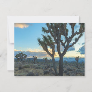 California Joshua Trees Wüste Landschaft bei Sunse Postkarte