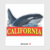 California Killer Whale Sticker (Blatt)
