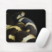 California King Snake Mousepad (Mit Mouse)
