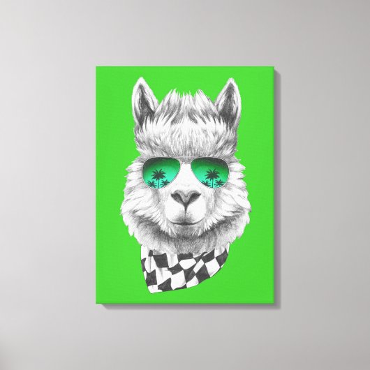 California Lama Leinwanddruck (Vorderseite)