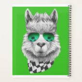 California Lama Planer (Rückseite)