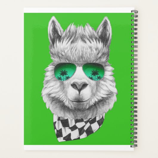 California Lama Planer (Rückseite)