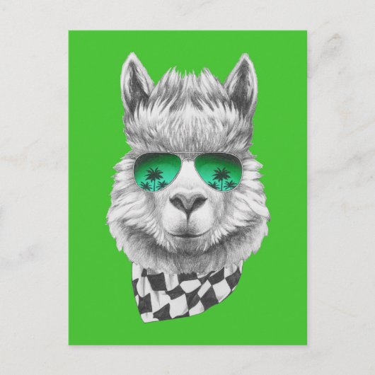 California Lama Postkarte (Vorderseite)