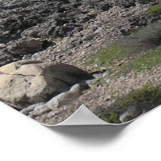 California Lighthouse in Aruba Poster (Ecke)