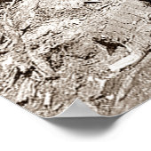 California Lumberjacks Fallen Redwood 1910 Poster (Ecke)