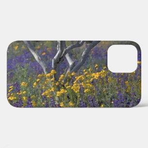 California Lupine & Poppies Wasserfarbe Case-Mate iPhone Hülle