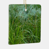 California Meadow Sedge Keramik Ornament (Rechts)