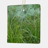 California Meadow Sedge Keramik Ornament (Links)