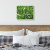 California Meadow Sedge Leinwanddruck (Insitu (Schlafzimmer))