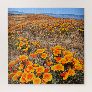 California Mohnfelder - Blume - 20x20 - 676 pc Puzzle