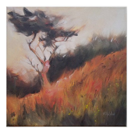 California Monterey Cypress Lone Tree Poster (Vorderseite)