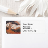 California Monterey Cypress Trees (Insitu)