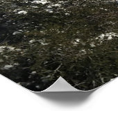 California Mountain Snow Poster (Ecke)