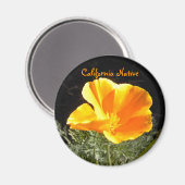 California Native Magnet (Vorderseite/Rückseite)