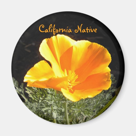 California Native Magnet (Vorne)
