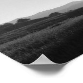 California Oak Tree Sunrise Poster (Ecke)