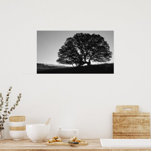 California Oak Tree Sunrise Poster (Küche)