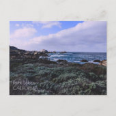 California Pacific Coast Point Lobos Monterey Postkarte (Vorderseite)