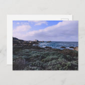 California Pacific Coast Point Lobos Monterey Postkarte (Vorne/Hinten)