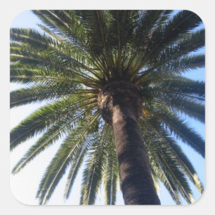 California Palm Tree Beach Custom Decal Stickers