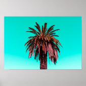 California Palm Tree Poster (Vorne)