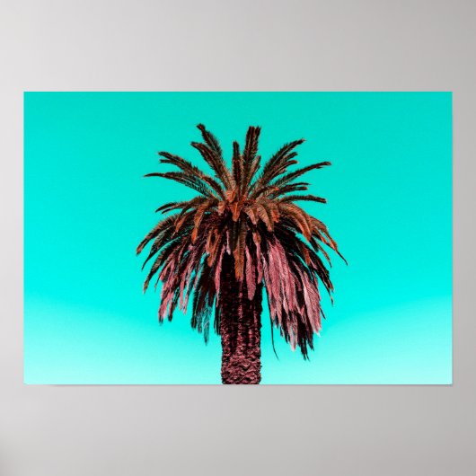 California Palm Tree Poster (Vorne)