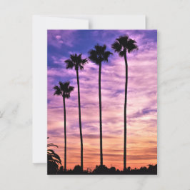 California Palm Tree Sunset Postkarte