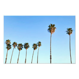 California Palm Trees at Golden Hour Fotodruck