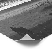 California Palm Trees Poster (Ecke)