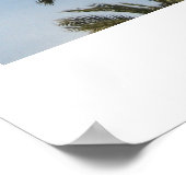 California Palm Trees Poster (Ecke)