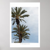 California Palm Trees Poster (Vorne)