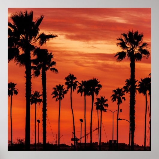 California Palms Sunset Poster (Vorne)